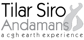 Andaman Client 3