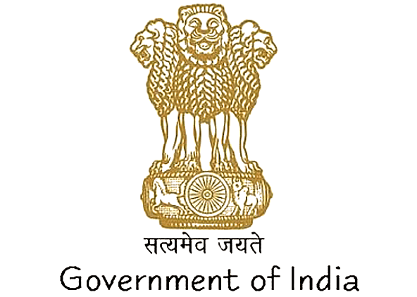 Government